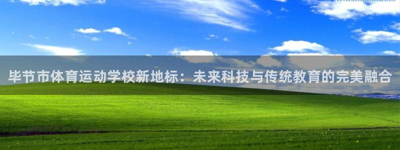 vsport体育官方正版app娱乐是那个系列的台子：