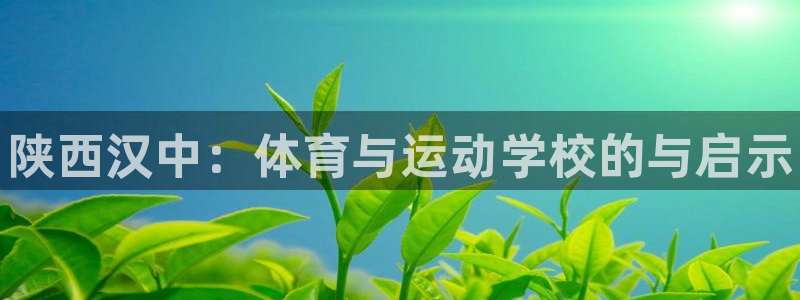 vsport体育官网下载招商电话地址：陕西汉中：体育