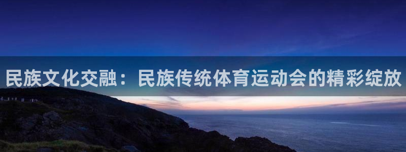 vsport体育官方平台体育