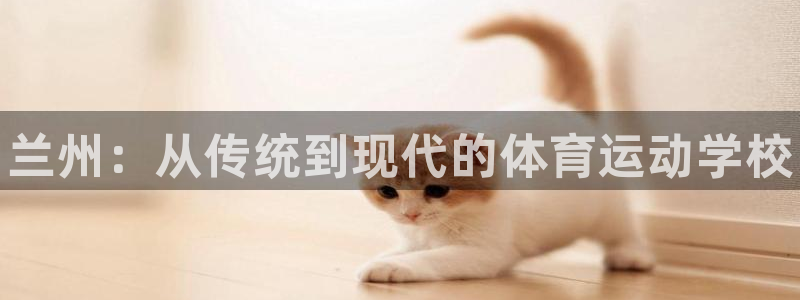 vsport体育官方正版app娱乐首页网站大全