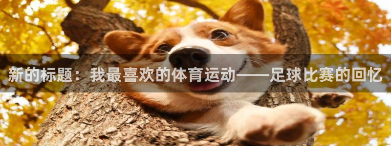 vsport体育官方正版app娱乐是那个系列的台子