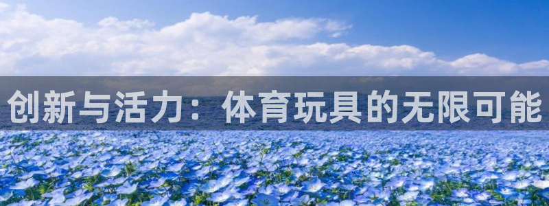 vsport体育官网下载平台是正规平台吗安全吗