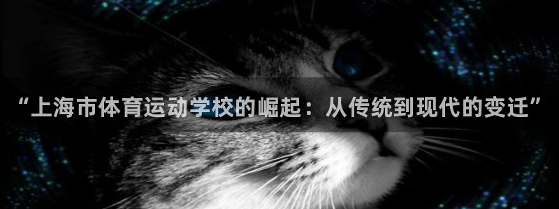 vsport体育官方正版app开户