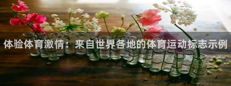 vsport体育官网下载平台假的吗是真的吗