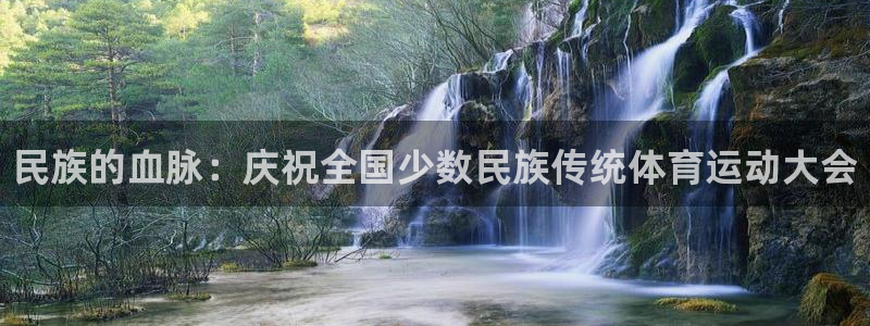 vsport体育官网下载招商电话号码查询：民族的血脉