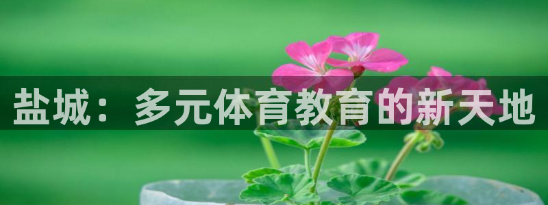 vsport体育官方正版app集团：盐城：多元体育教育的新天