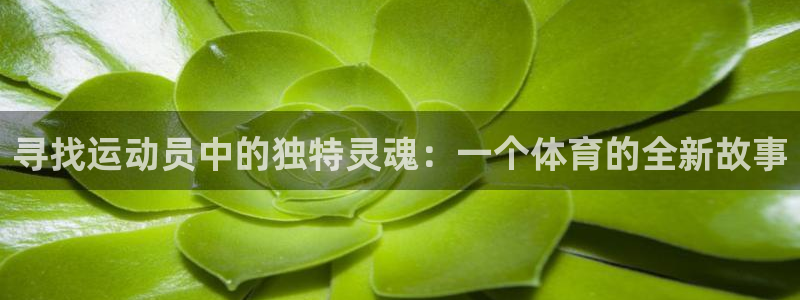 vsport体育官网下载联系电话：寻找运动员中的独特灵魂：一