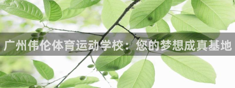 vsport体育官方正版app官方：广州伟伦体育运动学校：您