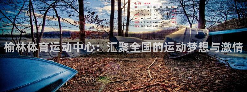 vsport体育官方正版app集团官网首页网址