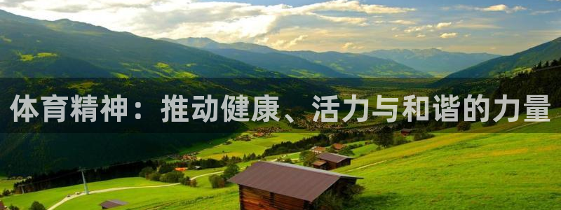 vsport体育官网下载开户：体育精神：推动健康、活力与和谐