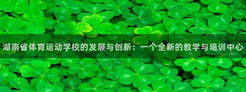 vsport体育官网下载招商电话号码查询是多少：湖南省体育运
