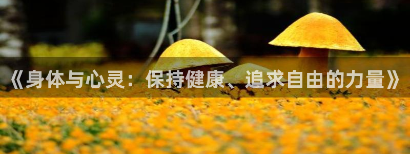 vsport体育官网下载平台是正规平台吗安全吗