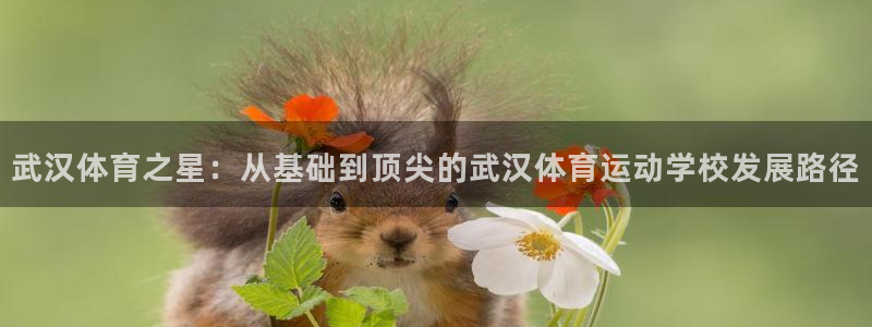 vsport体育官网下载官方客服电话：武汉体育之星：