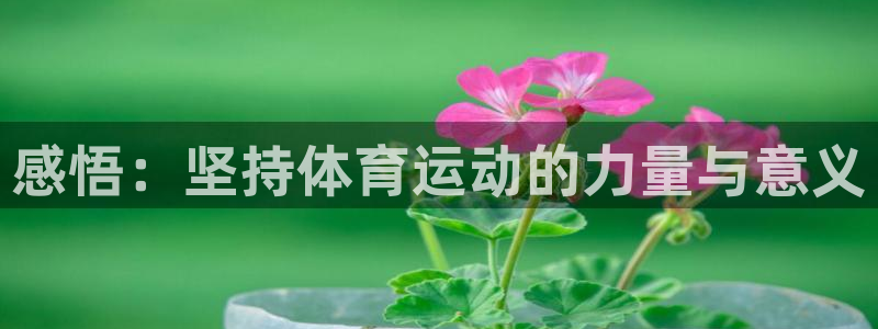 vsport体育官方正版app五金厂：感悟：坚持体育运动的力