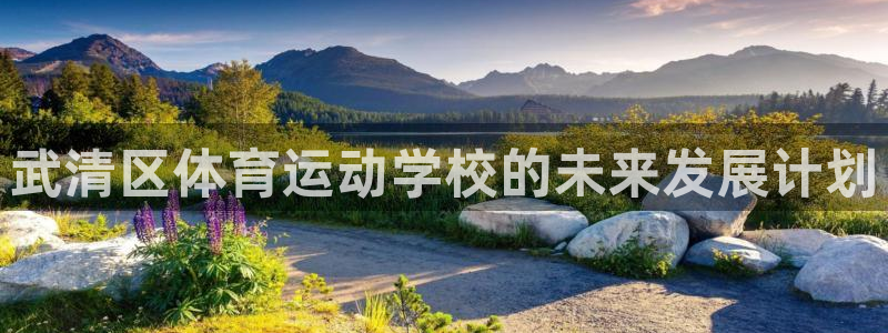 vsport体育官网下载平台假的吗是真的吗：武清区体育运动学