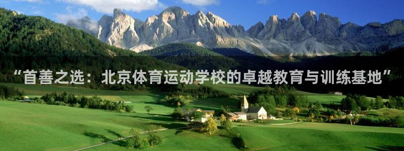 vsport体育官网下载软件