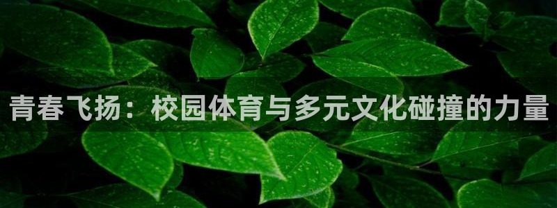 vsport体育官方平台体育：青春飞扬：校园体育与多元文化碰