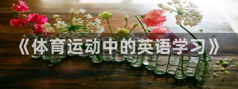 海南vsport体育官网下载：《体育运动中的英语学习》