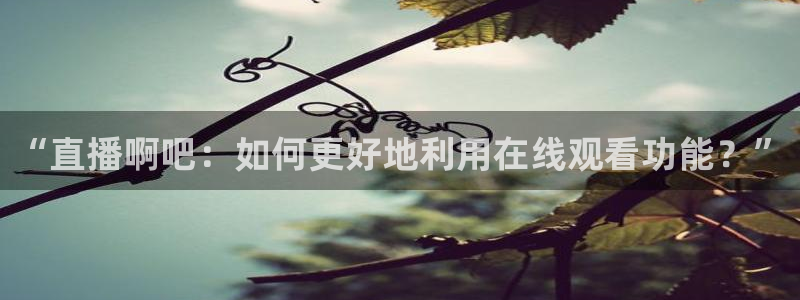 斗球直播在线看免费：“直播啊吧：如何更好地利用在线观看功能？”