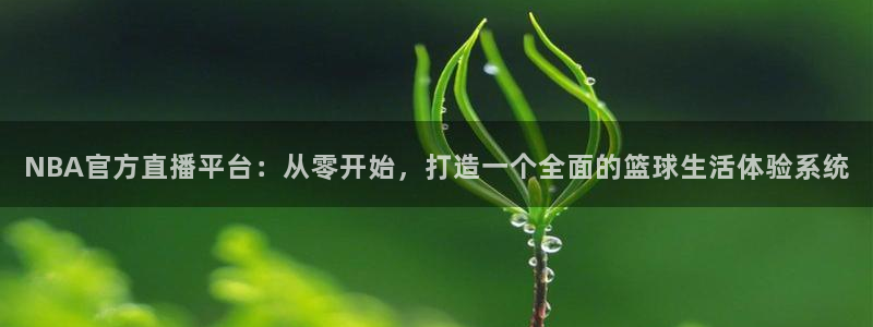 斗球在线直播下载：NBA官方直播平台：从零开始，打造一个全面的篮球生活体验系统
