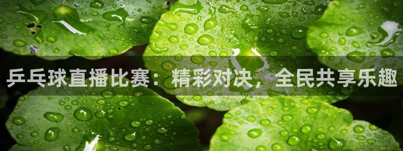 斗球网球直播：乒乓球直播比赛：精彩对决，全民共享乐趣